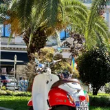 Скутер Honda Giorno Crea — motor scooter (photo 1)