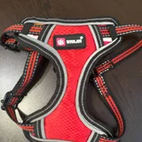 Шлейка розовая для собаки — running shoe, neck brace, sandal (photo 4)