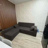 Студия с новым ремонтом — studio couch (photo 3)