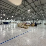 Аренда бизнеса и бизнес-оборудования — greenhouse, forklift (photo 1)