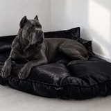 Лежанка для питомца — giant schnauzer (photo 3)