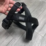 Новый ошейник (красный) — sandal (photo 2)