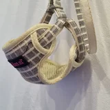 Шлейка для щенка с поводком — muzzle, sandal (photo 2)