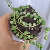 Горшок для цветов (photo 8)