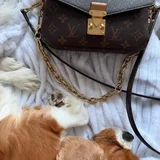 Сумка Louis Vuitton Pochette Métis East-West Monogram (photo 6)