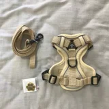 Анатомическая шлейка S размера — buckle (photo 3)