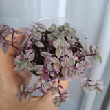 Горшок для цветов (photo 9)