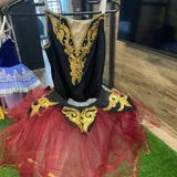 Платья для выступлений — hoopskirt, overskirt, mask (photo 1)