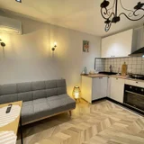 1-комнатная квартира, 46 м², Нижарадзе 20 — microwave, studio couch (photo 2)