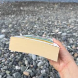 Книга Дэвид Бернс Терапия Настроения — Band Aid (photo 2)
