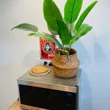 Искусственное растение с плетеным кашпо — pot, vase (photo 1)