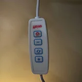 Светильник/торшер — switch, remote control (photo 2)