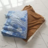 Пледы, полотенца, постельное белье — sleeping bag, mailbag, purse (photo 3)
