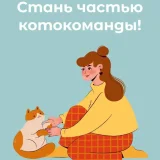 Помощники в команду волонтёров по помощи бездомным котикам — jigsaw puzzle (photo 1)