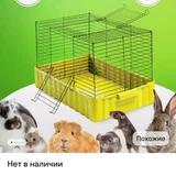Клетка для грызунов 80х47х45 см — collie (photo 2)