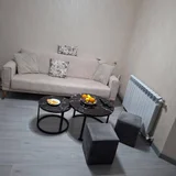 1-комнатная квартира, 47 м² — studio couch (photo 2)
