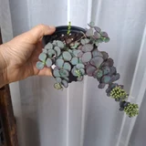 Горшок для цветов — pot (photo 4)
