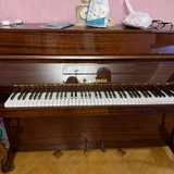 Шторы RONSCH — upright (photo 1)