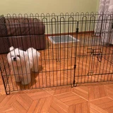 Клетка для собак — Lhasa, Samoyed (photo 1)