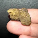 Фрукты и орехи — tailed frog, acorn (photo 2)