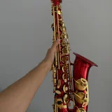 Альтсаксофон с чехлом, ремнями и тростями — sax (photo 1)