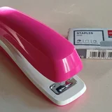 Алоэ полосатое в ведёрке — can opener, pencil sharpener, vacuum (photo 4)