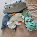 Кот Амур (photo 9)
