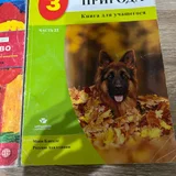 Ластик — German shepherd, malinois (photo 3)