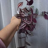 Горшок для цветов — knot (photo 3)