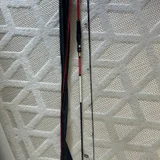 Спиннинг (2 шт) — walking stick, mosquito net (photo 1)
