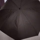 Зонт и перо — umbrella (photo 1)