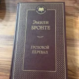 Книга Эмили Бронте Грозовой перевал — brass (photo 2)