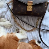 Сумка Louis Vuitton Pochette Métis East-West Monogram — purse (photo 1)