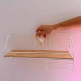 Настольная игра Звездные империи — balance beam (photo 1)