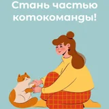 Помощники в команду волонтёров по помощи бездомным котикам (photo 3)