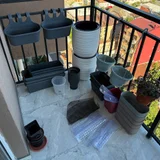 Комнатные растения и горшки — patio (photo 1)