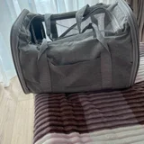 Переноска для кота — bulletproof vest, mailbag, backpack (photo 1)