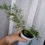 Женское счастье (photo 9)
