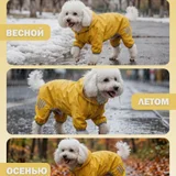 Дождевик для собаки размер 2XL — Maltese dog, Dandie Dinmont, Lhasa (photo 2)