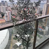 Оливковое дерево 160 см — patio (photo 1)