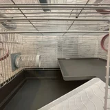 Клетка для хомяков и крыс с туннелем — studio couch, window shade (photo 3)