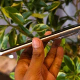 Смартфон Oppo 12GB/256GB — trombone (photo 3)