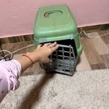 Переноска для собак и кошек б/у — space heater, dishwasher (photo 2)