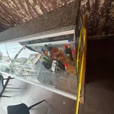 Холодильная витрина (photo 4)