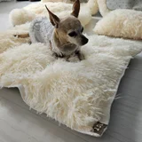 Матрасик для питомца — Chihuahua, toy terrier (photo 5)