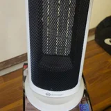 Насос циркуляционный садовый — space heater (photo 2)
