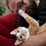 Котята Азатот и Йог-Сотот в дар — lynx (photo 2)