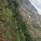 Земельный участок в селе Зеда Шарабидзееви — cliff, valley (photo 3)