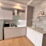 Квартира 1+1, 50 м² — microwave, plate rack (photo 1)