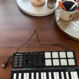 Midi-клавиатура Worlde Panda Mini с кабелем — computer keyboard, mouse (photo 1)